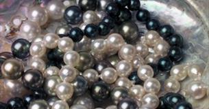Isle of Wight Pearl
