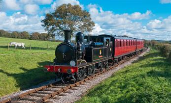Isle of Wight Steam Railway