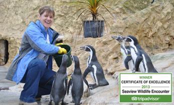 Seaview Wildlife Encounter