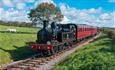 Isle of Wight Steam Railway