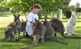 Seaview Wildlife Encounter