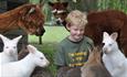 Seaview Wildlife Encounter