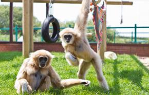 Come and meet me and my friends at the Haven