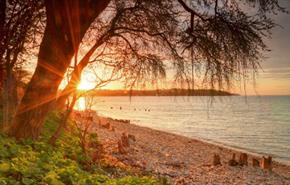 Bembridge Beach