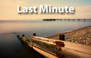 Last Minute Offers