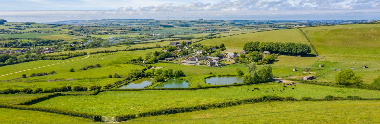 Aerial view of Nettlecombe Farm, Isle of Wight