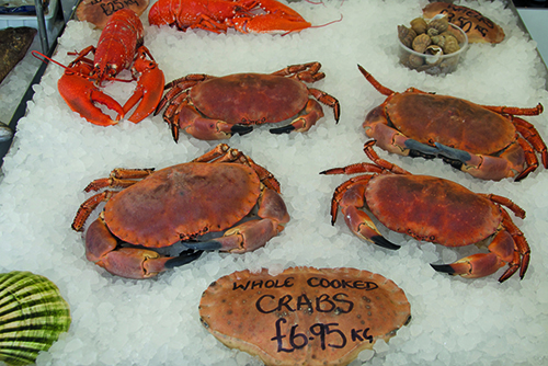 Foodies Guide to October - Visit Isle Of Wight