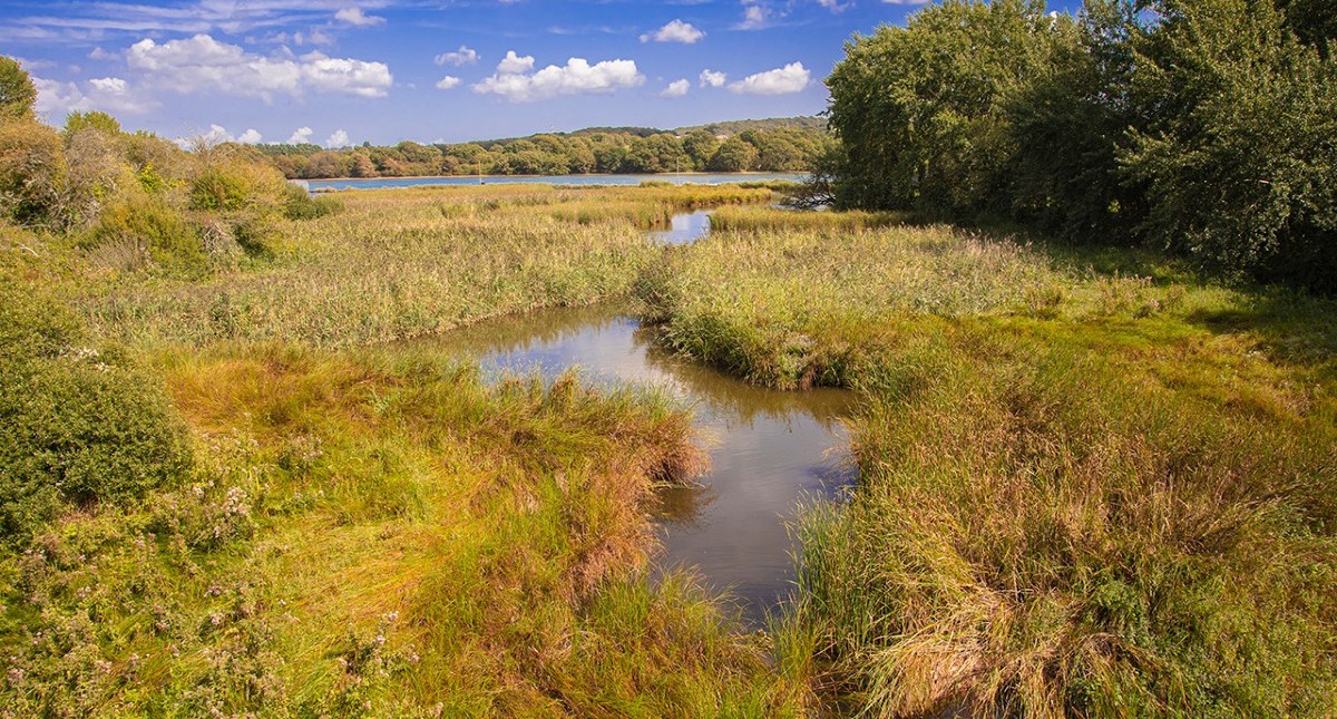 View of Dodnor Creek within Medina Valley