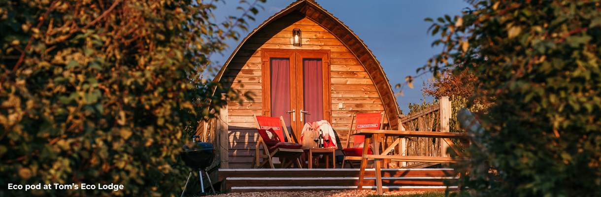 Outside view of the eco pod at Tom's Eco Lodge at Tapnell Farm on the Isle of Wight
