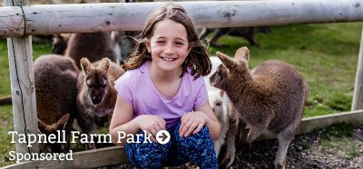 Girl sitting with wallabies at Tapnell Farm Park