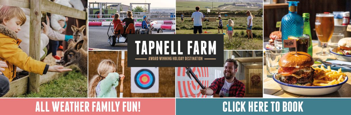 Activities at Tapnell Farm, Isle of Wight