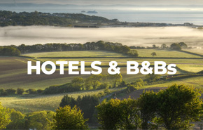 Dog Friendly Hotels & B&Bs on the Isle of Wight