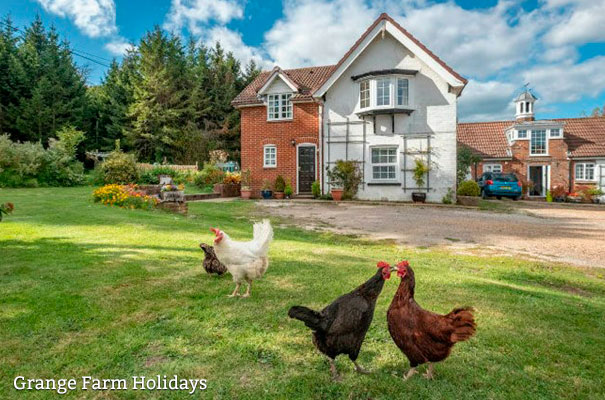 Grange Farm Holidays - Green Star - Isle of Wight