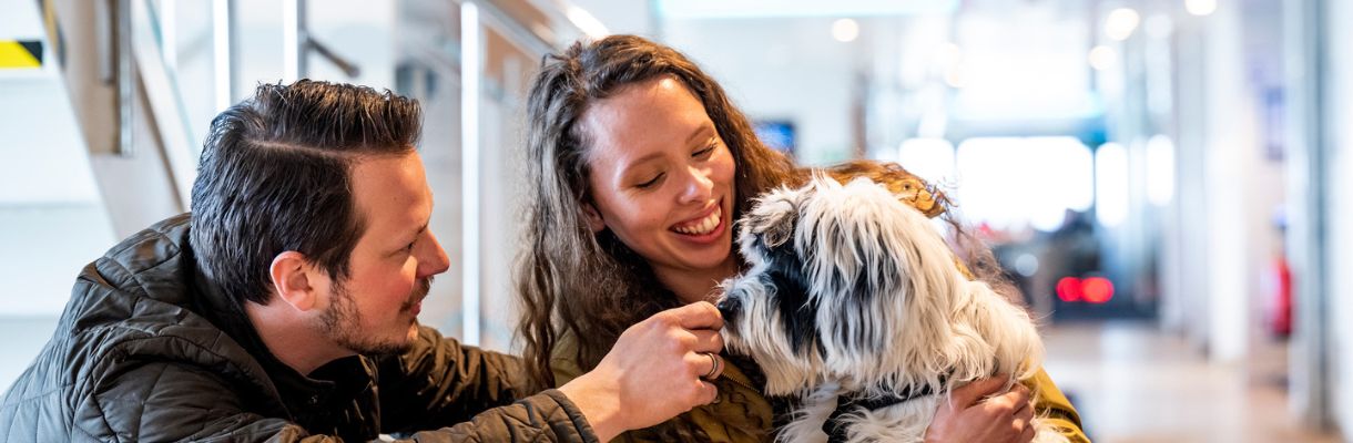 Couple with dog on board Wightlink ferry