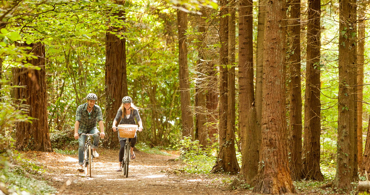 Red Squirrel Trail - Cycling - Isle of Wight