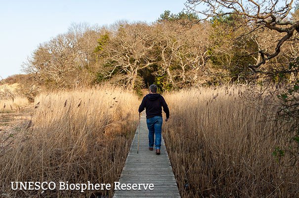 UNESCO Biosphere Reserve - Isle of Wight