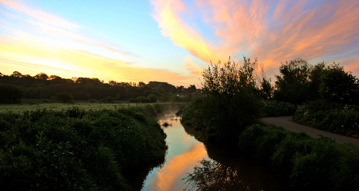 International Dawn Chorus Day