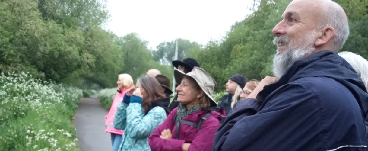 International Dawn Chorus Day