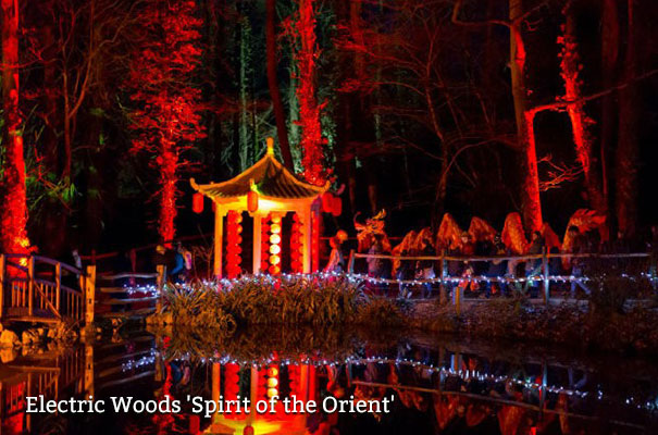 Electric Woods 'Spirit of the Orient', Robin Hill Country Park - February Half Term