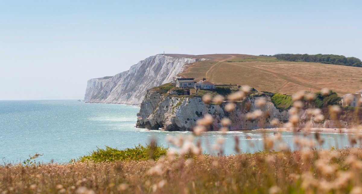View of Freshwater Bay from cliff