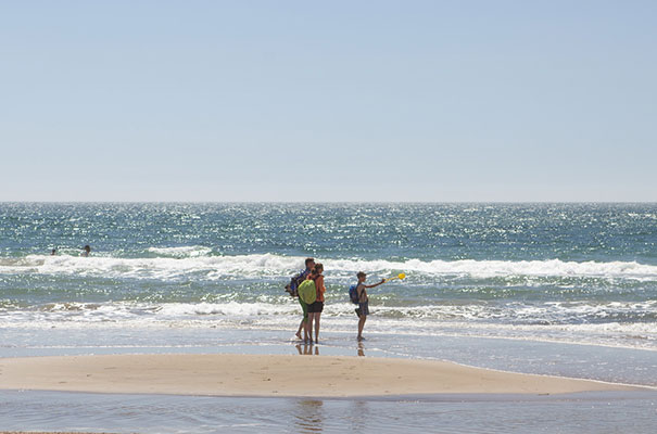 Walking - May Half Term - Isle of Wight