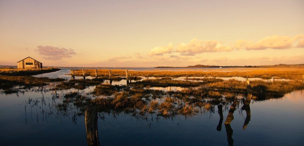 View of Newtown National Nature Reserve