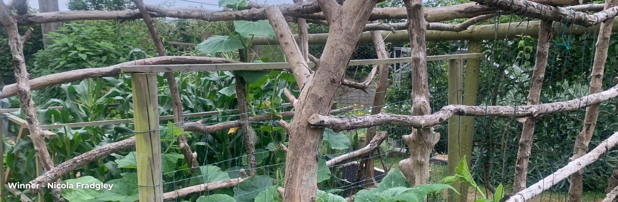 Nicola Fradgley's garden, Isle of Wight
