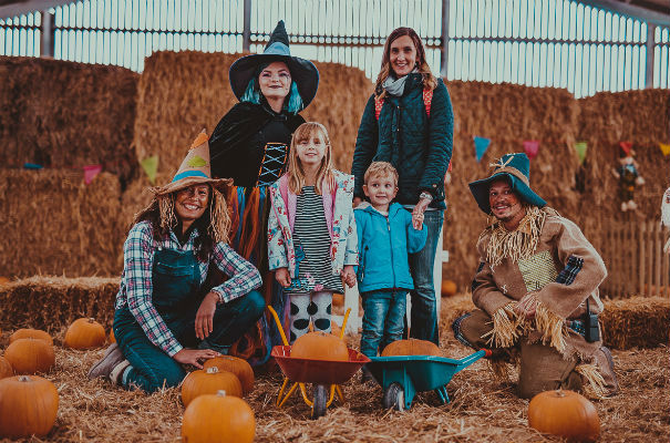 Pumpkin Festival at Tapnell Farm Park, Isle of Wight