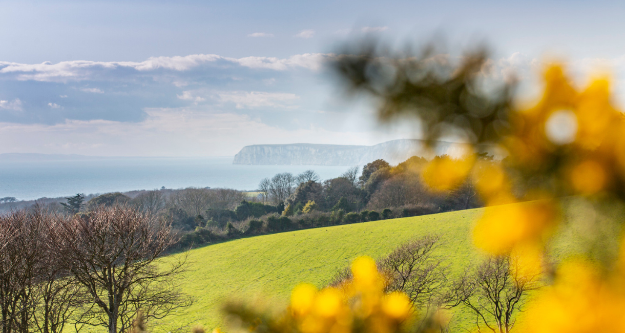 Spring in the West Wight of the Isle of Wight
