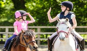 Island Riding Centre - NEWPORT - Visit Isle Of Wight