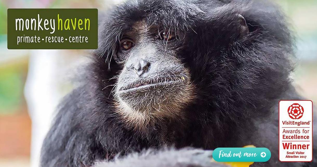 Isle of Wight Zoo & Animal Attractions VisitIsleOfWight.co.uk