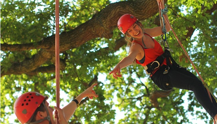 Goodleaf Tree Climbing - RYDE - Visit Isle Of Wight